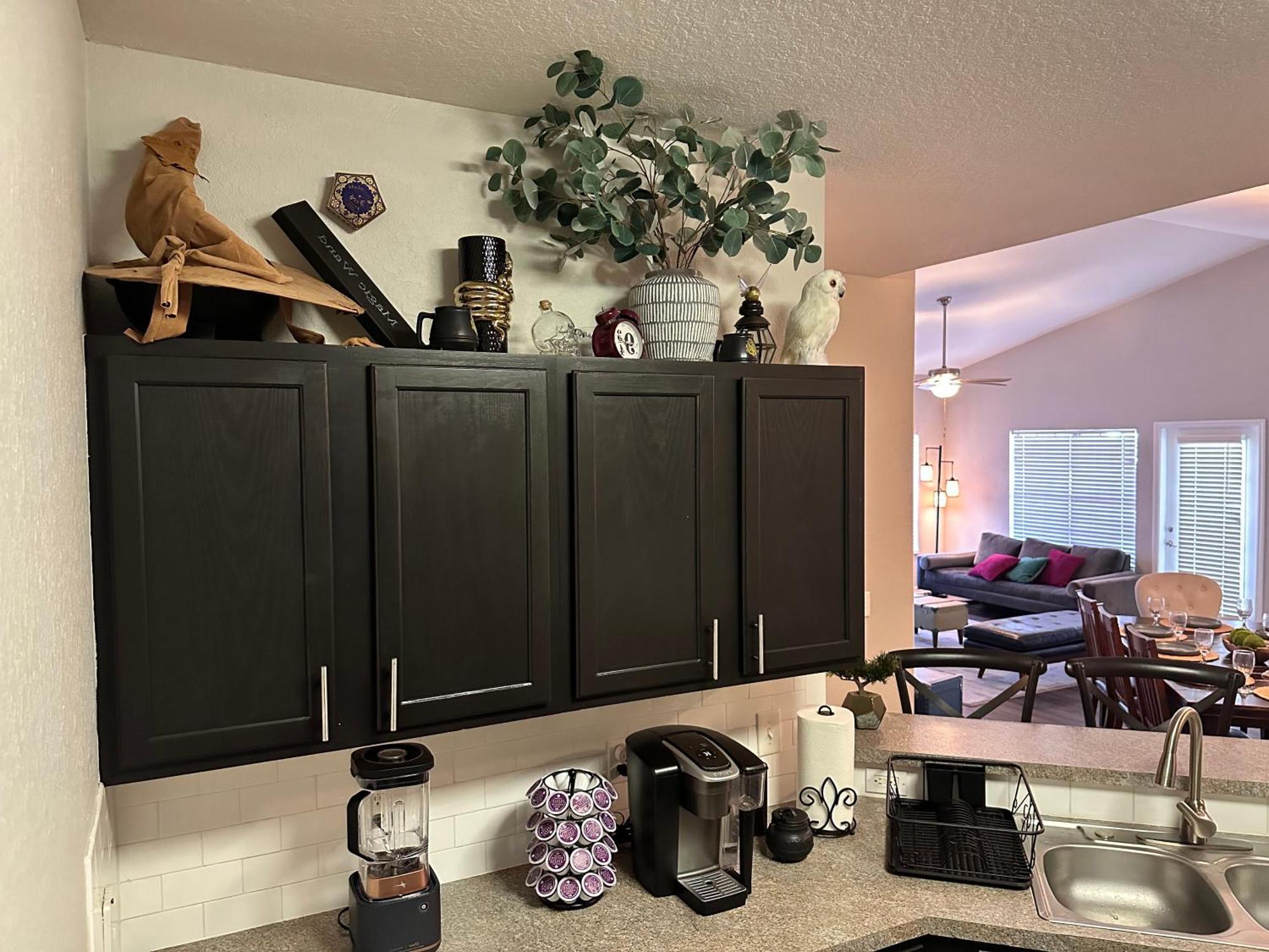 Harry Potter Themed Luxury Apartment 3Bd 2Bth - Universal Studios Orlando Exterior photo